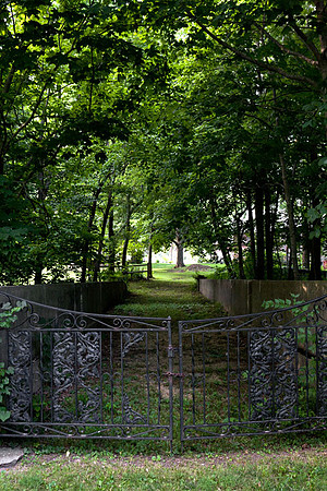 IMG_9646.3 copy