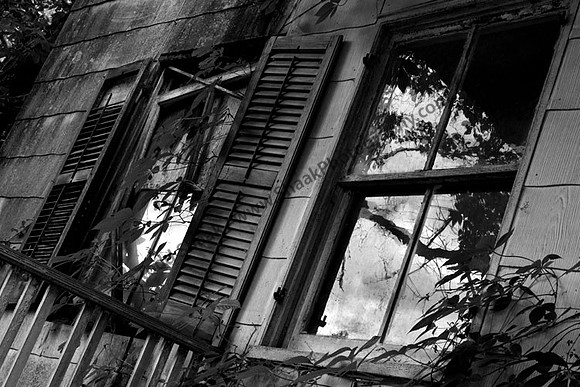 IMG_8116.3.BW copy
