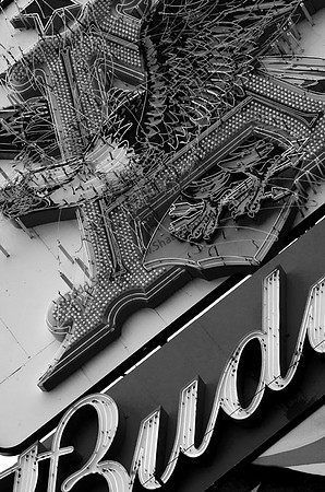 IMG_7496.3-BW copy