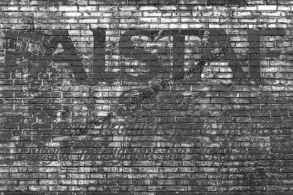 IMG_1248.3.BW copy