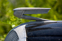 IMG_0064.3 copy
