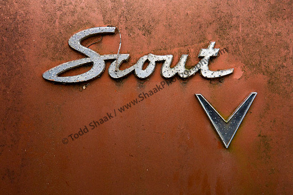 International Scout