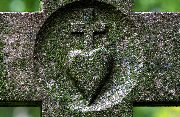 IMG_7910.3 copy