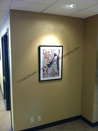 photo201