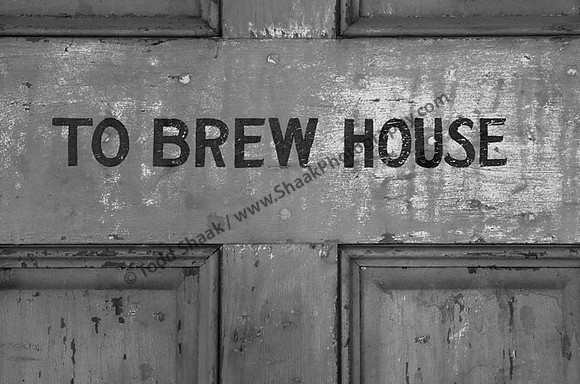 IMG_8310.BW copy