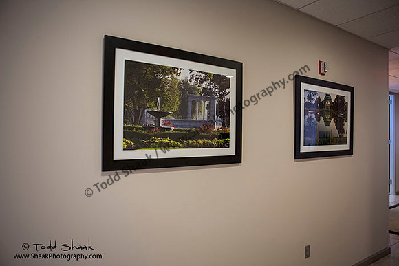 IMG_8861 copy