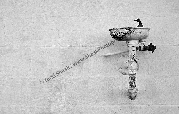 IMG_4382 copy