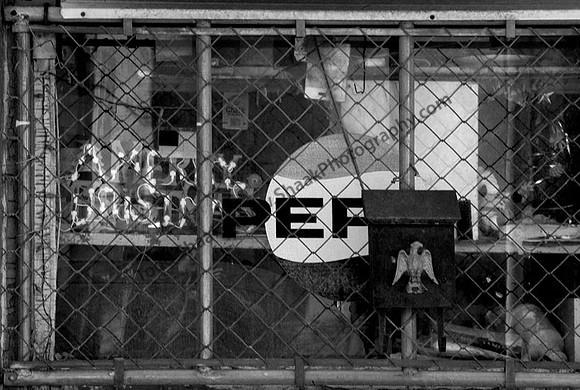 IMG_7452.4.BW copy