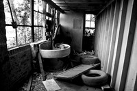IMG_4560 copy