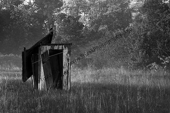 IMG_3031.BW copy