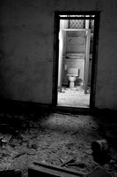 IMG_3752 copy
