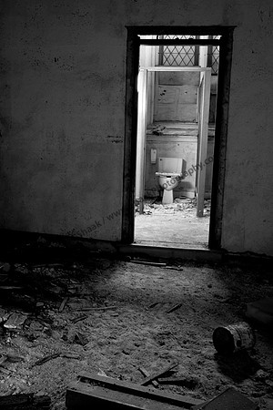 IMG_3752 copy