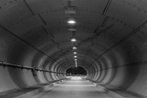 IMG_0799.4.BW copy