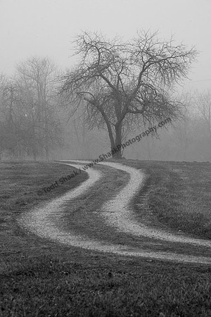 IMG_3085.4.BW copy