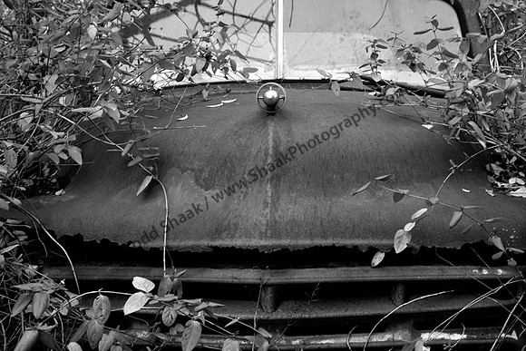 Studebaker