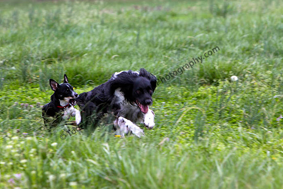 IMG_2411.6.2013 copy