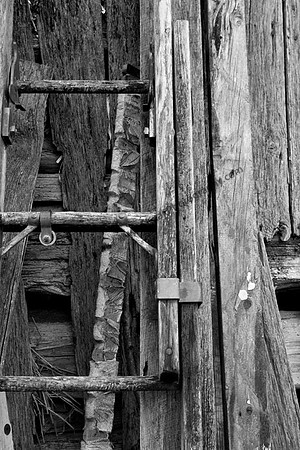 IMG_2465.3.BW copy