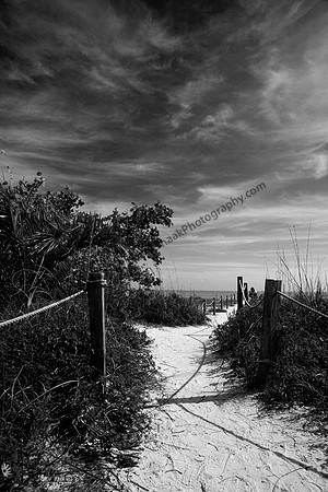 IMG_4530.BW copy