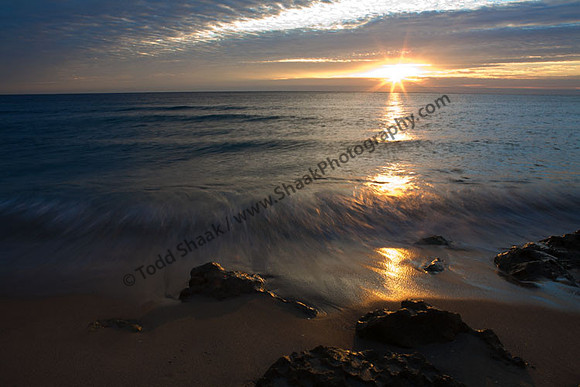 IMG_3691 copy