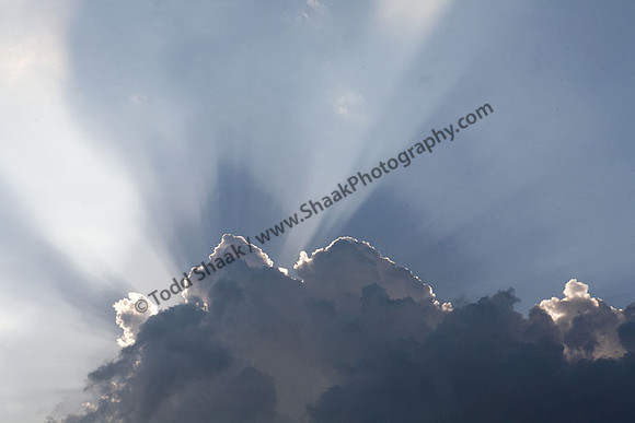 IMG_5211.3 copy