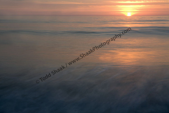 IMG_5103 copy