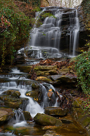 IMG_3193 copy