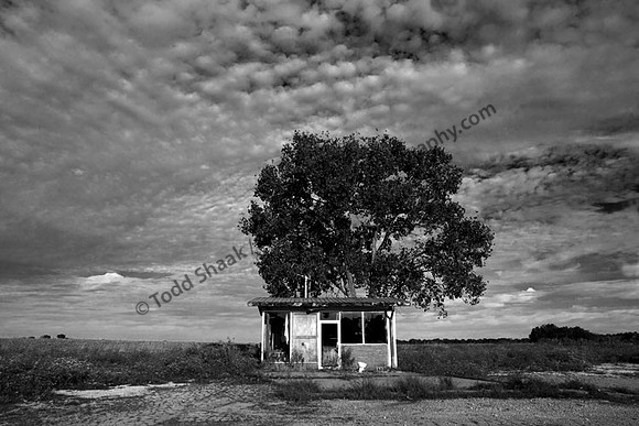 IMG_2001-BW copy