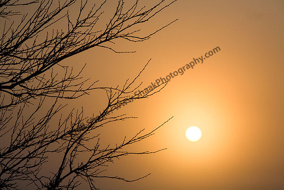IMG_4354.4 copy
