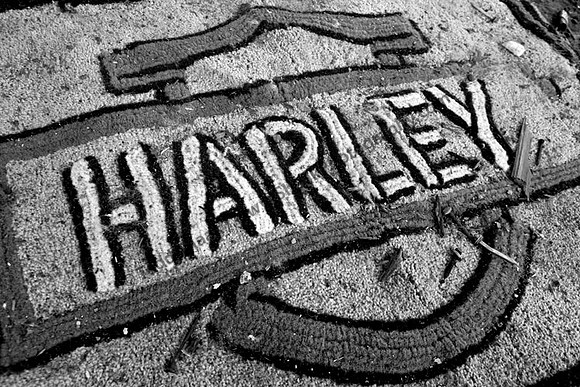 Harley Davidson
