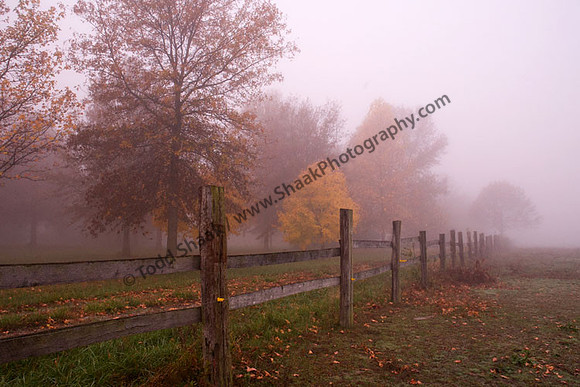IMG_1707.3 copy