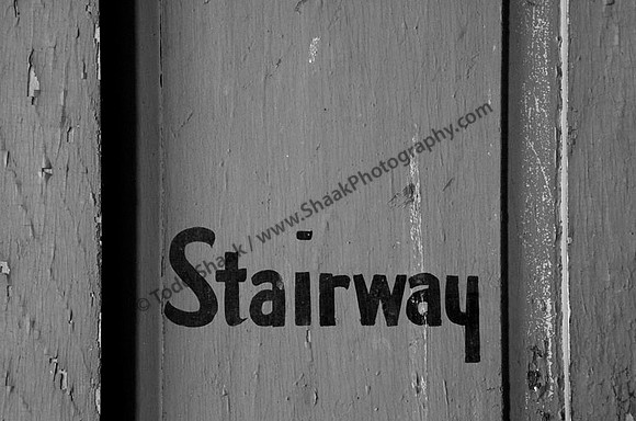 IMG_8459.BW copy