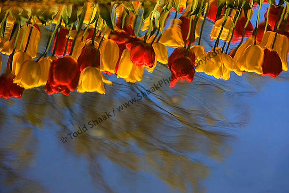 IMG_2590.6.2013 copy