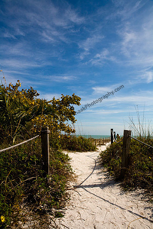 IMG_4530 copy