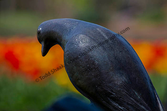 IMG_2600.6.2013 copy