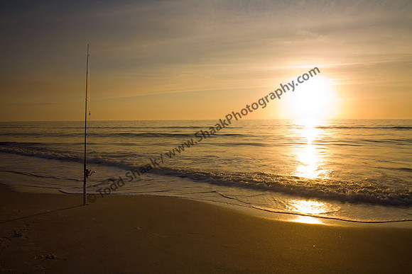 IMG_5019.3 copy