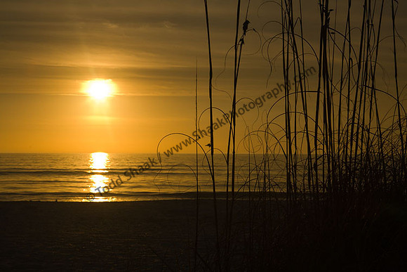 IMG_4999.2 copy