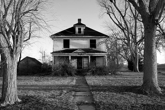 IMG_5215.4.BW copy