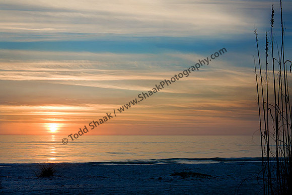 IMG_5086 copy