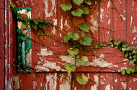 IMG_0674 copy