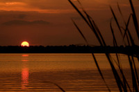 IMG_0168 copy