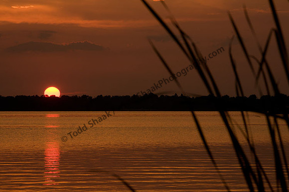 IMG_0168 copy