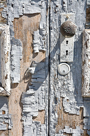 IMG_8299 copy