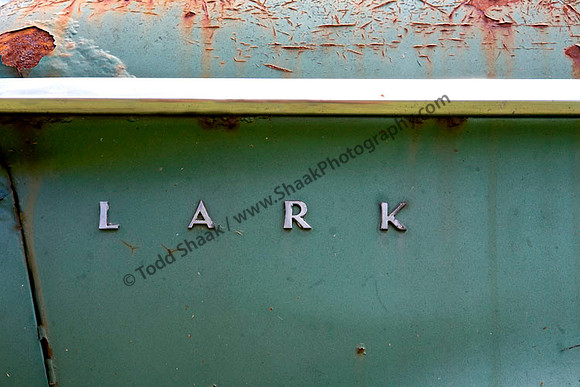 Lark