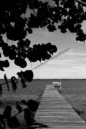 IMG_3506.BW copy
