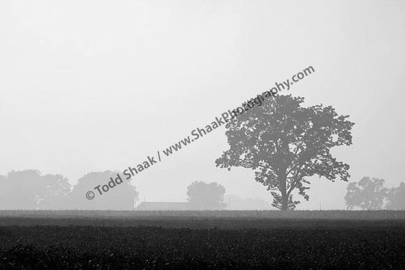 IMG_0522.BW