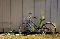 IMG_0789.3 copy