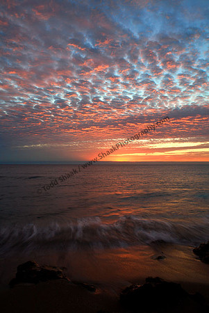 IMG_3632 copy