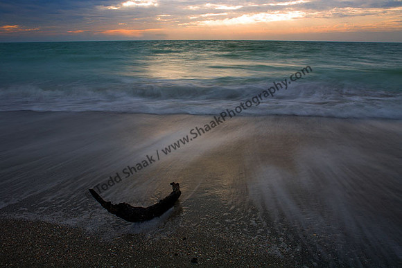 IMG_5422 copy