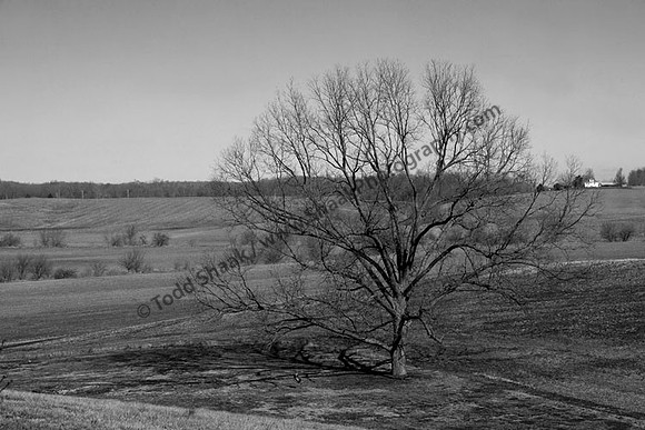 IMG_4467.4.BW copy
