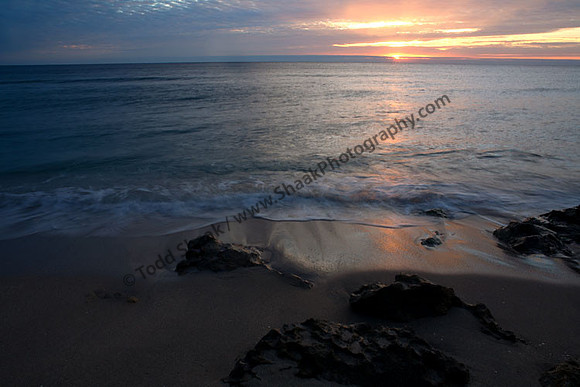IMG_3662 copy